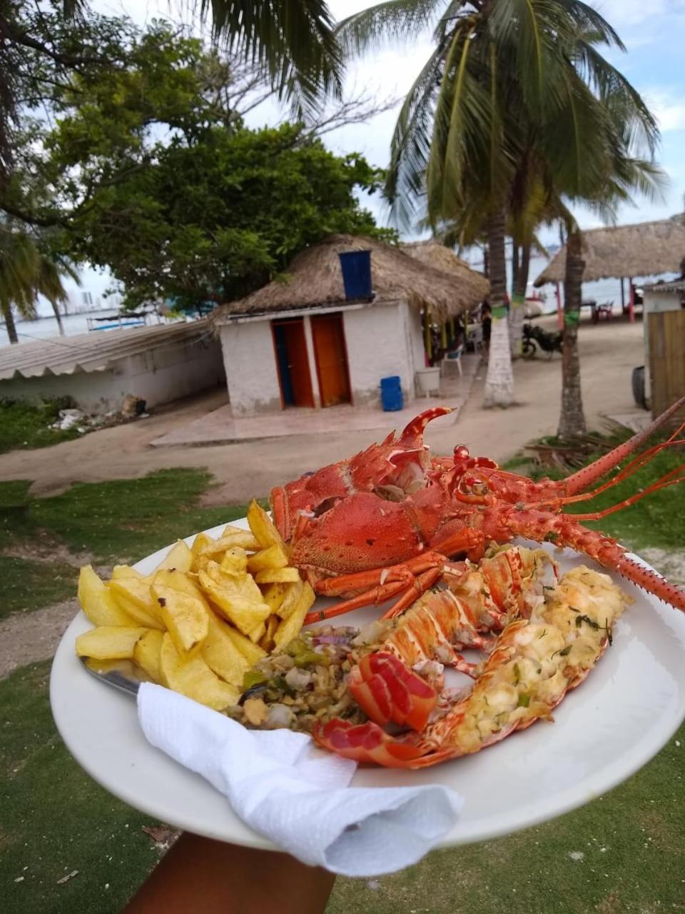 מלון Tierra Bomba Island Paraiso Beach מראה חיצוני תמונה